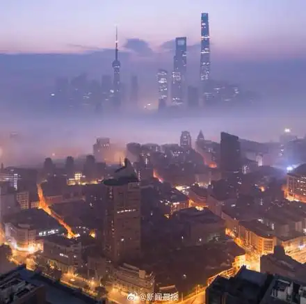 上海大雾_上海大雾能见度不足100米_上海大雾天气预警