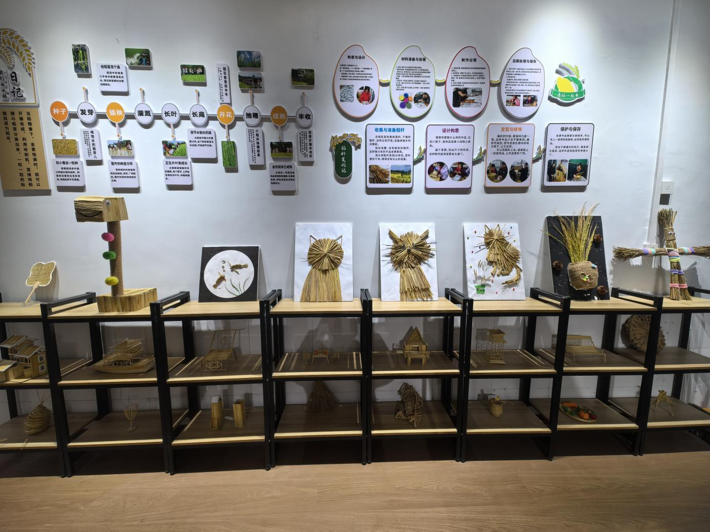 排球论文开题报告_排球论文_排球论文什么题目好写