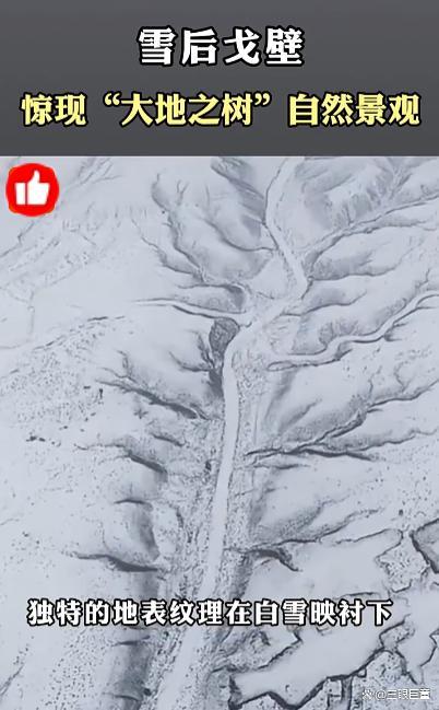 雪后戈壁惊现大地之树景观 自然雕刻的奇迹