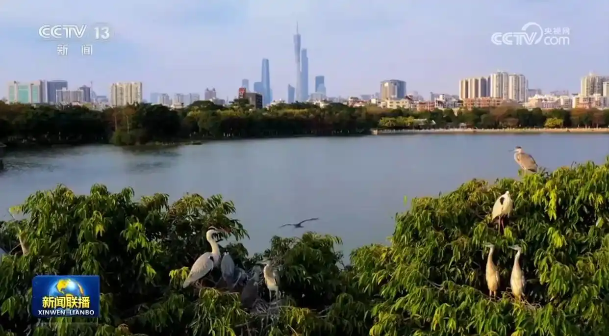 公园城市建设_建设公园城市 绘就宜居城市新画卷_城市生态修复