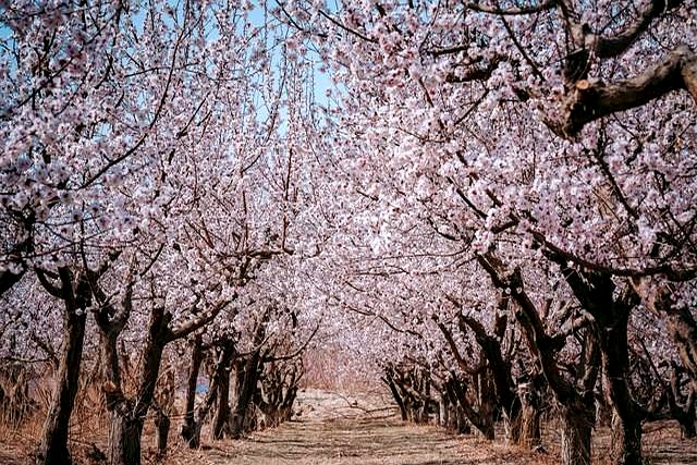 女性健身_中年女人健身原因_女性健身动力