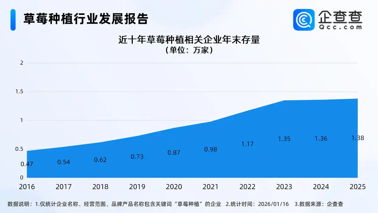 160一斤的黑草莓背后“产业密码”，国内超2成草莓种植相关企业在辽宁