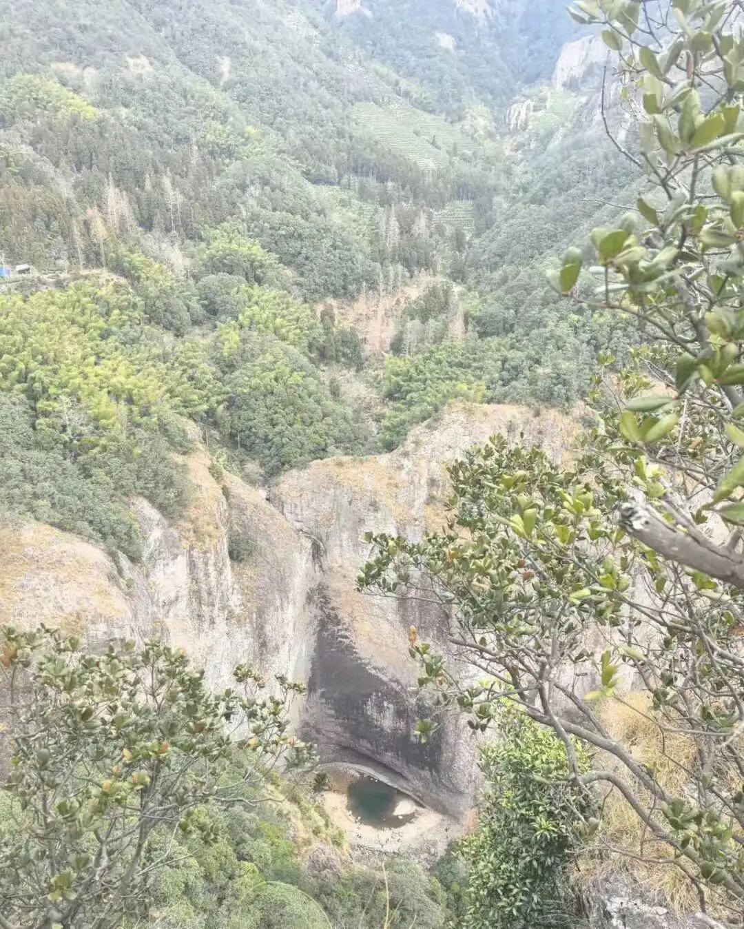 雁荡山大龙湫开龙眼奇观_浙江大龙湫瀑布惊现“龙眼”奇观_大龙湫龙眼最佳观赏角度