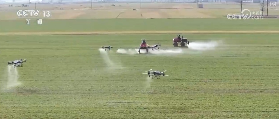 2026农业农村经济运行成绩单来了_粮食产量再创新高_2025年农业农村发展情况