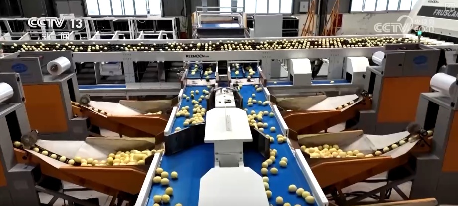 粮食产量再创新高_2026农业农村经济运行成绩单来了_2025年农业农村发展情况