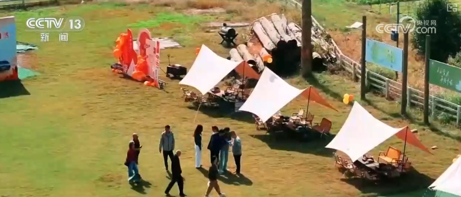 粮食产量再创新高_2025年农业农村发展情况_2026农业农村经济运行成绩单来了