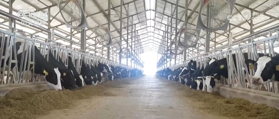 2026农业农村经济运行成绩单来了_粮食产量再创新高_2025年农业农村发展情况