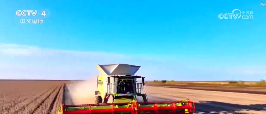 2025年农业农村发展情况_粮食产量再创新高_2026农业农村经济运行成绩单来了