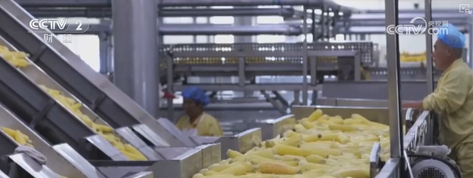 2025年农业农村发展情况_粮食产量再创新高_2026农业农村经济运行成绩单来了