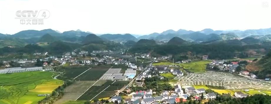 粮食产量再创新高_2025年农业农村发展情况_2026农业农村经济运行成绩单来了