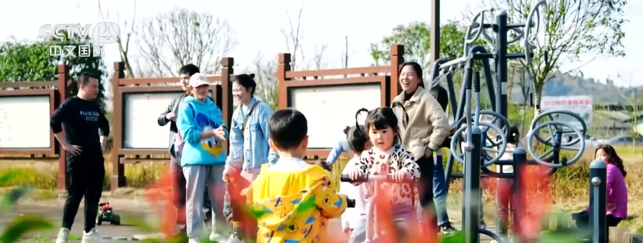 2025年农业农村发展情况_2026农业农村经济运行成绩单来了_粮食产量再创新高