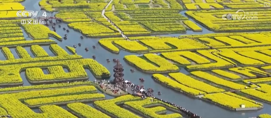 2025年农业农村发展情况_2026农业农村经济运行成绩单来了_粮食产量再创新高