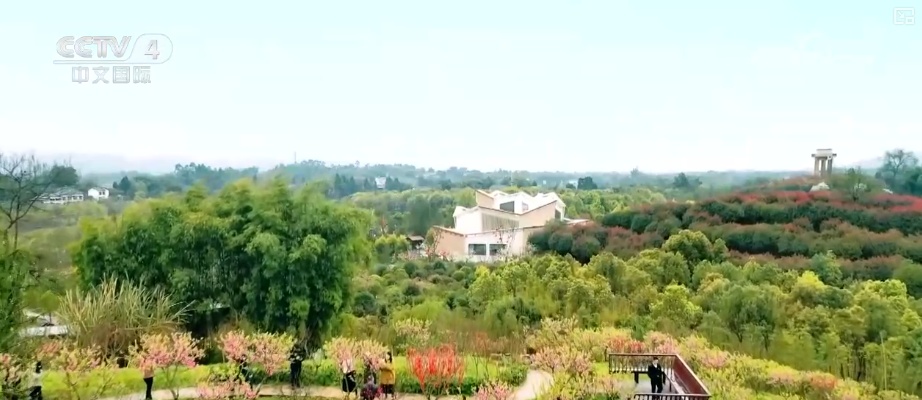 2026农业农村经济运行成绩单来了_2025年农业农村发展情况_粮食产量再创新高