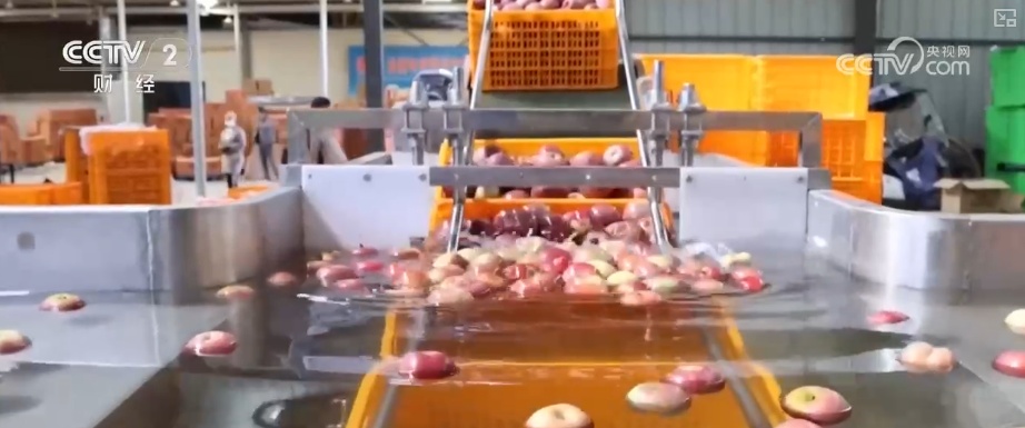 2025年农业农村发展情况_2026农业农村经济运行成绩单来了_粮食产量再创新高