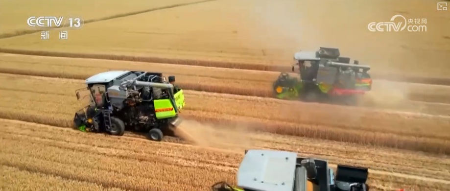 粮食产量再创新高_2026农业农村经济运行成绩单来了_2025年农业农村发展情况