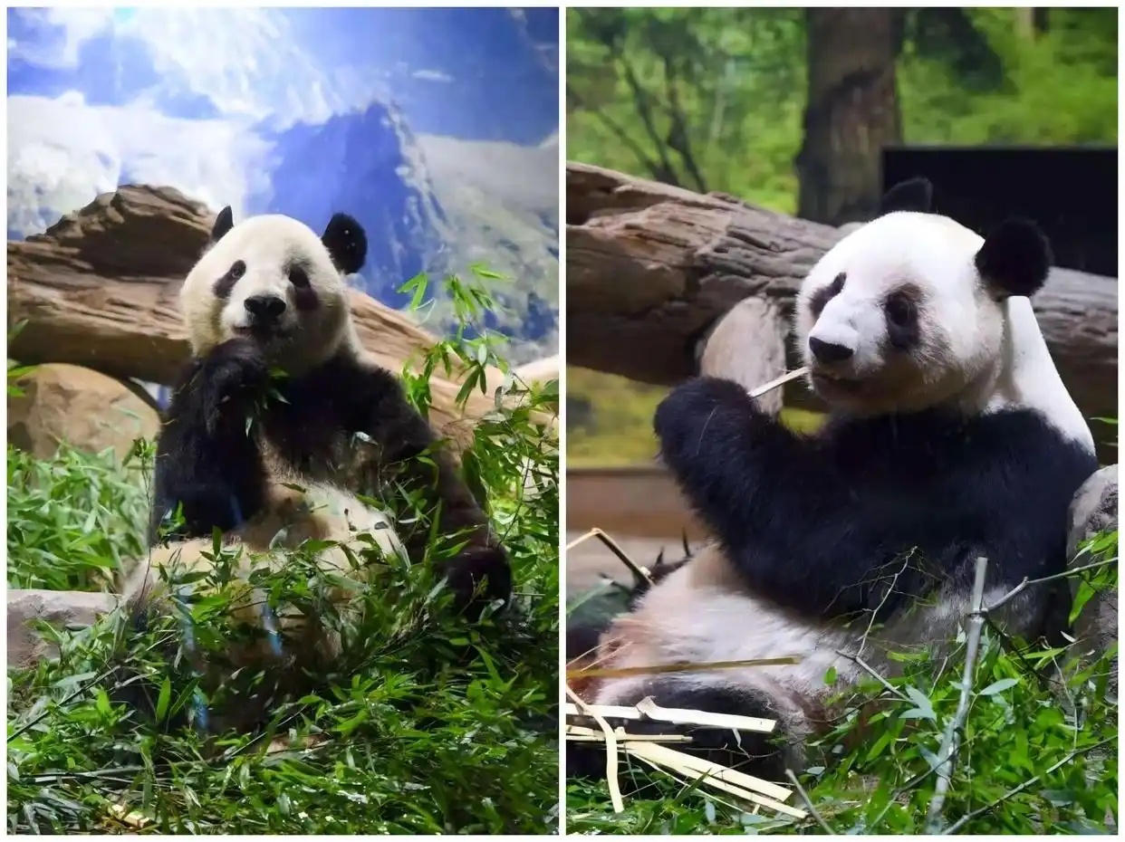 美明州州长要求联邦政府结束报复性行动_美国将在中东举行空军战备演习_美国中东空军战备演习