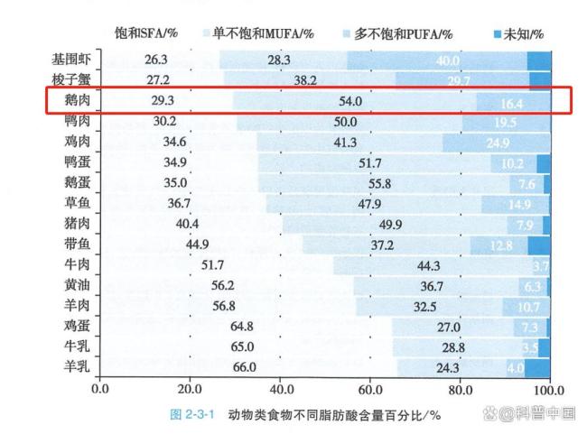 最被低估的家禽 鹅肉的多重价值