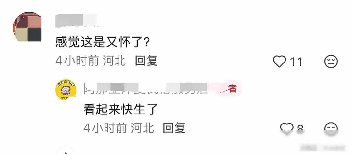 曝理想ceo李想将迎来第六娃_王蕾理想汽车核心架构设计_李想妻子王蕾技术背景