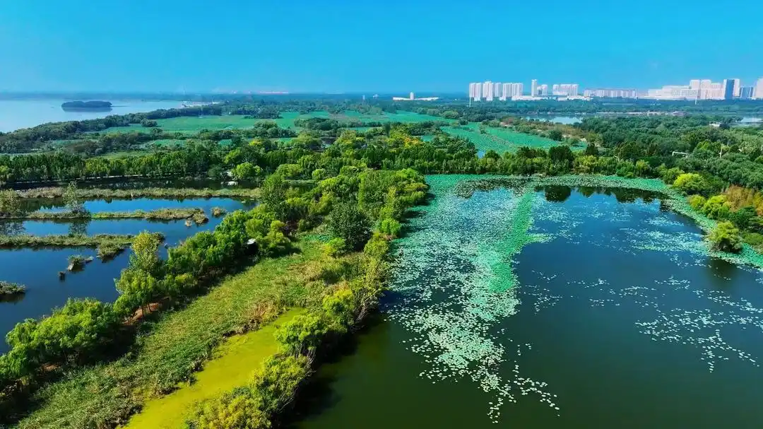 济宁太白湖新区体育赛事_第24届全国大学生田径锦标赛_2026年全国大学生田径锦标赛
