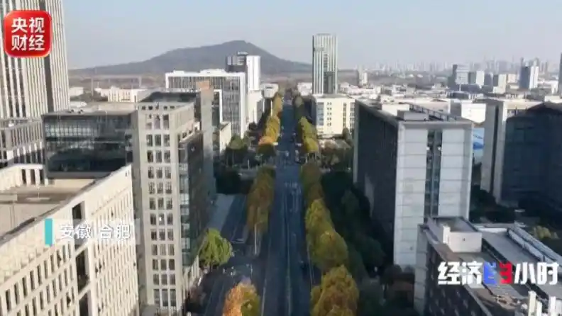 “中国或将诞生多家万亿市值企业”_中国AI创新投资趋势_2026年中国资本青睐产业