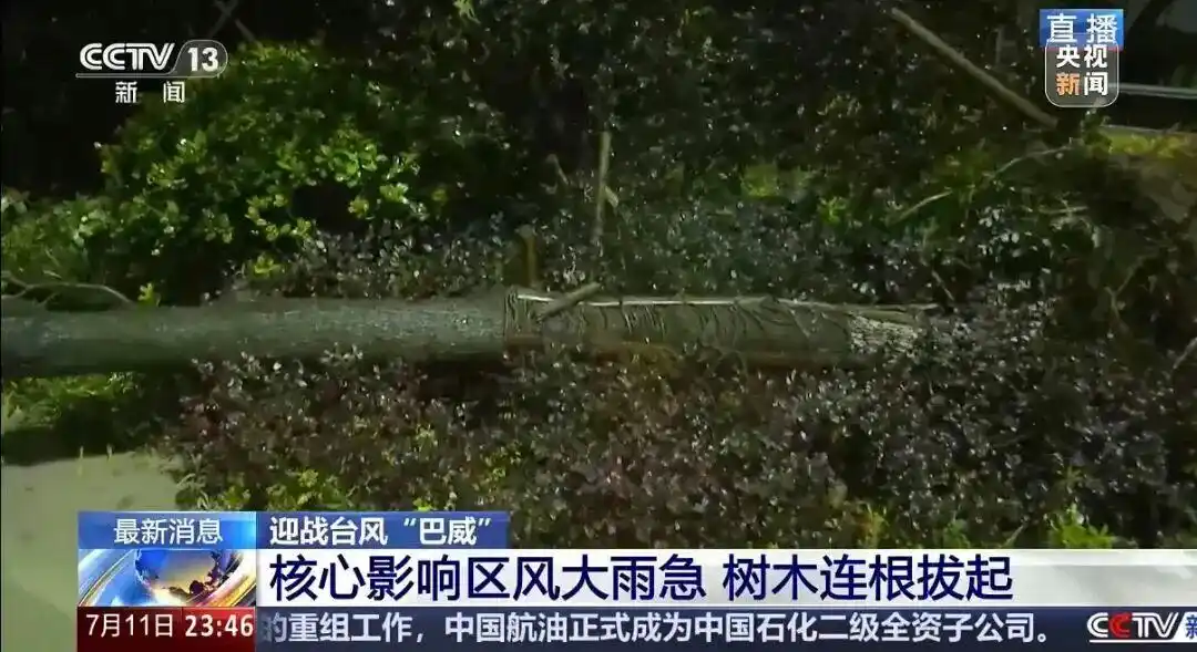台风巴威 浙江登陆 暴雨预警_台风巴威登陆现场画面