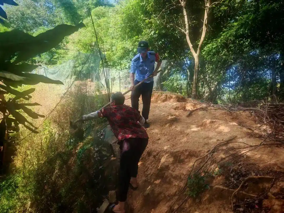台风巴威 浙江苍南 群众转移安置_台风巴威登陆现场画面