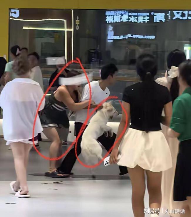 女子商场遛狗不拴绳引发冲突 任性遛狗惹争议