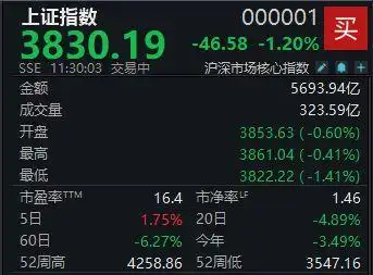 A股震荡调整，沪指半日下跌1.2%