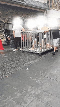 “多人将两女子关铁笼游街”系摆拍_湖南汨罗多人关铁笼游街 警方通报 何某被刑拘 龚某某被行政拘留