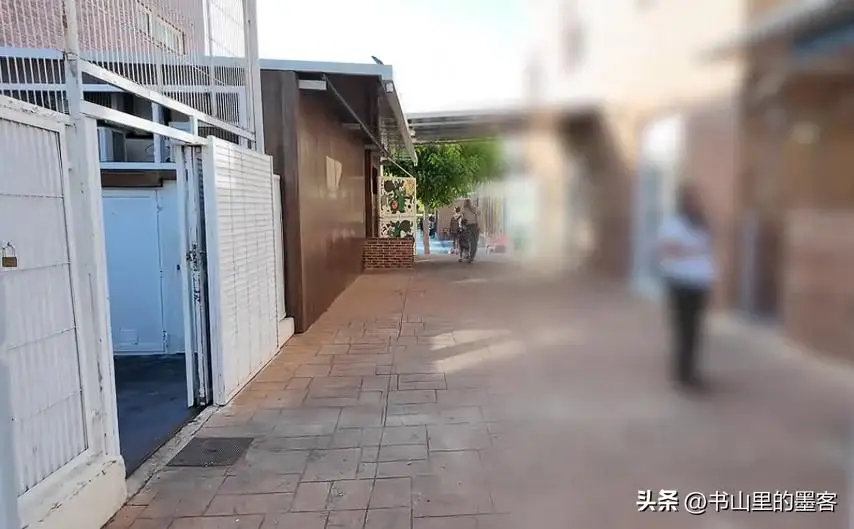 林丹谢杏芳西班牙生活_谢杏芳多年筹谋_林丹老婆生了吗