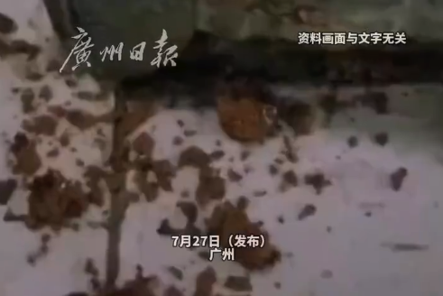 广东一男子买到白蚁房全屋惨遭蛀空 男子起诉卖家获赔
