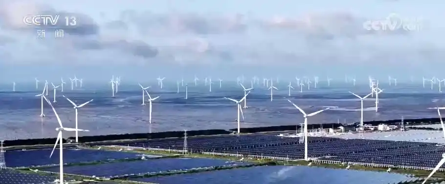 煤电发电量占比首次低于50%_上半年可再生能源发电量占比首次超过四成_一组数据读懂我国能源转型新趋势